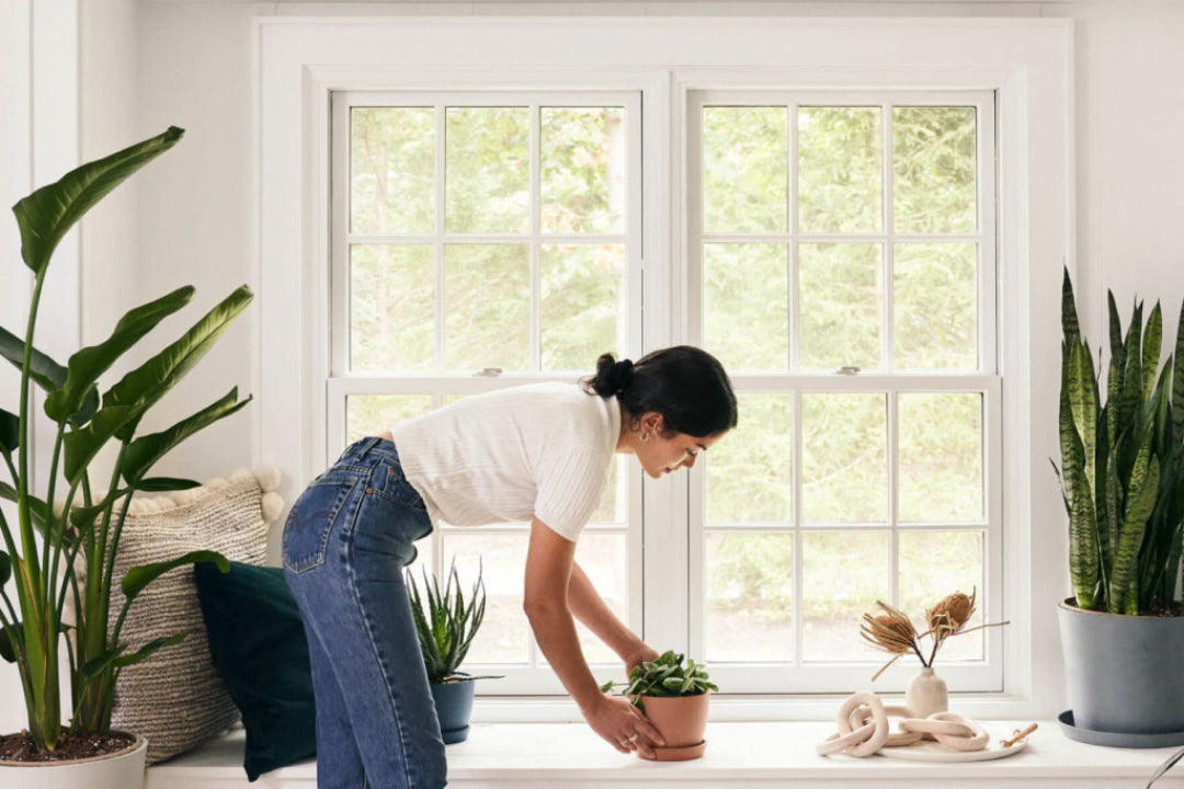 Gift Guide: Indoor Plant Care Tools + Accessories