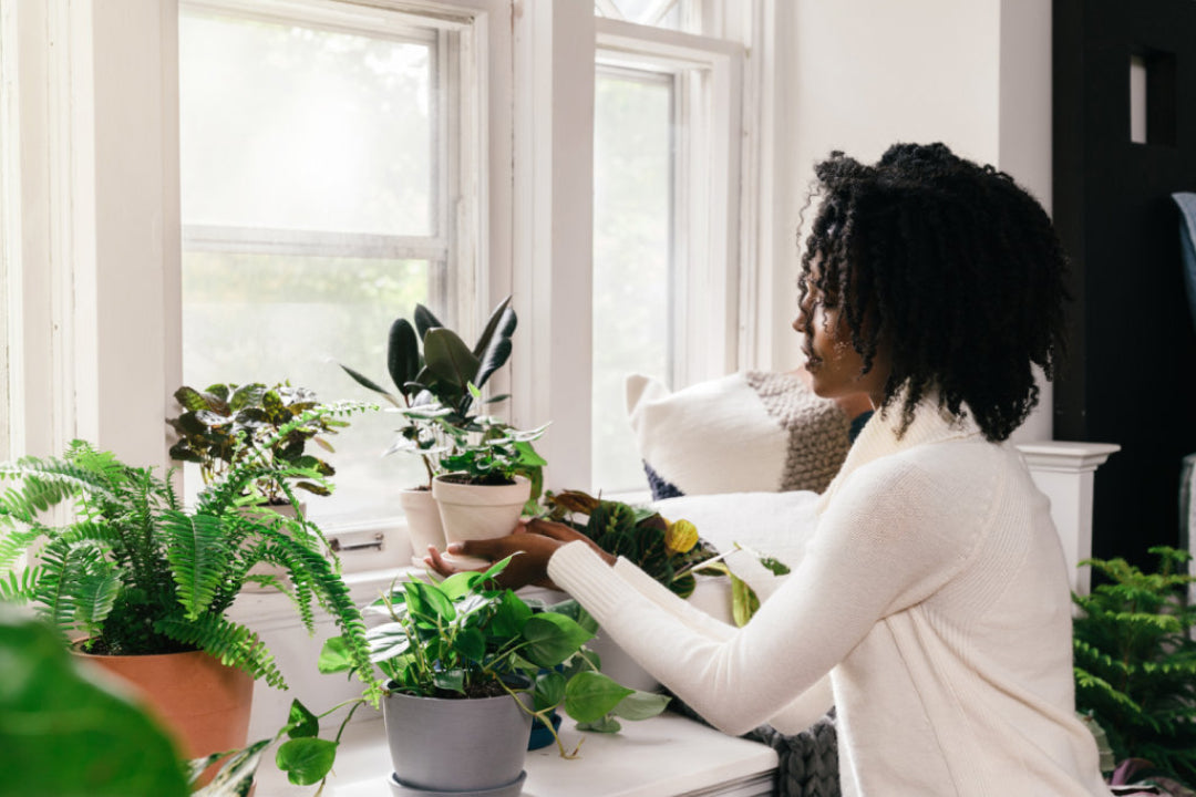 Curated Care In The New Year