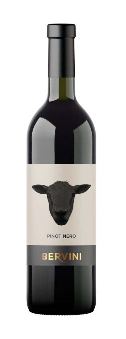 2022 Bervini Pinot Nero Organic 0,75 lt