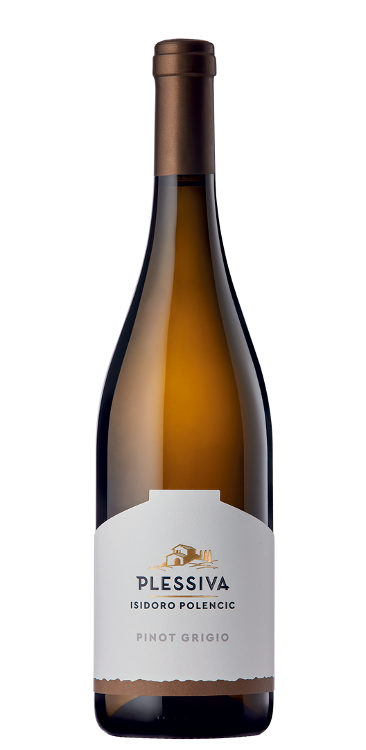 2024 Isidoro Polencic Pinot Grigio 0,75 lt