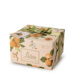 Load image into Gallery viewer, Panettone Loison Albicocca &amp; Zenzero &quot;Frutta &amp; Fiori&quot; 1000gr.
