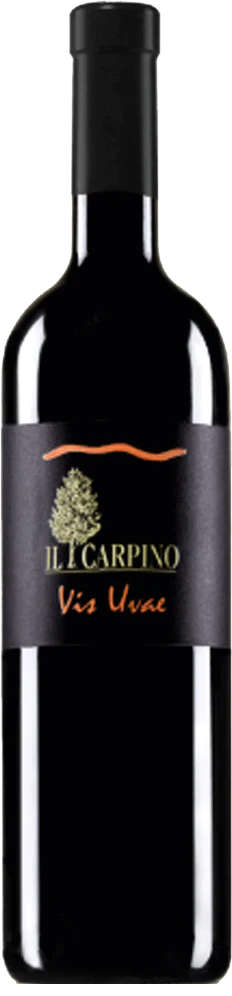 2006 Il Carpino "Vis Uvae" Pinot Grigio